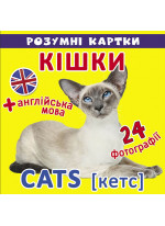 Розумні картки. Кішки. 12 карток