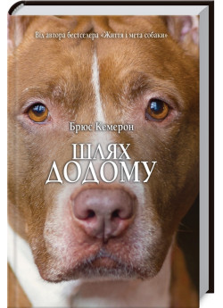 Шлях додому