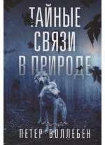 Тайные связи в природе