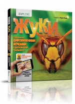 Жуки