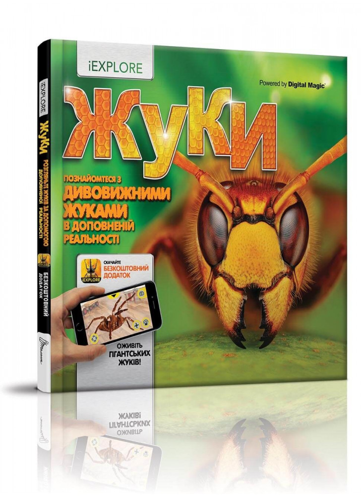 Жуки