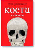 Кости и скелеты