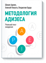 Методология Адизеса. Реальный опыт внедрения