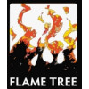 Flame Tree